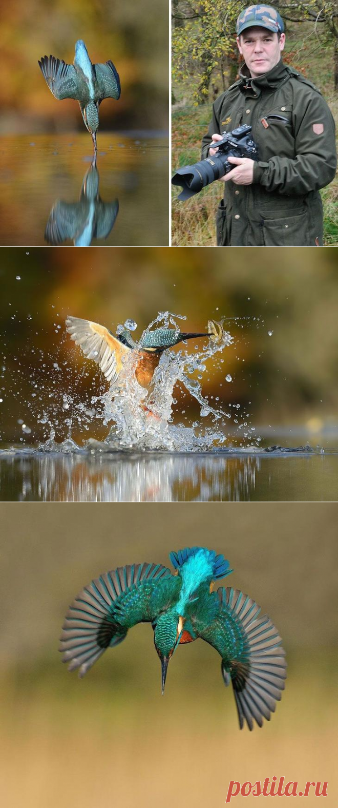 Когда перфекционизм зашкаливает: шесть лет на идеальный снимок зимородка