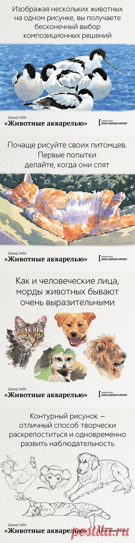«Животные акварелью» —  пособие по анималистике. Дэвид Уэбб составил 8 пошаговых уроков для всех, кто давно мечтал создать портрет кота. Вы научитесь изображать пушистых и хвостатых, рисовать пятна, полоски, усы, лапы и хвост. И сможете передать характер, который есть у каждого домашнего питомца и дикого зверя. Сделали открытки по книге — мурчащие, рычащие, пятнистые. Забирайте!