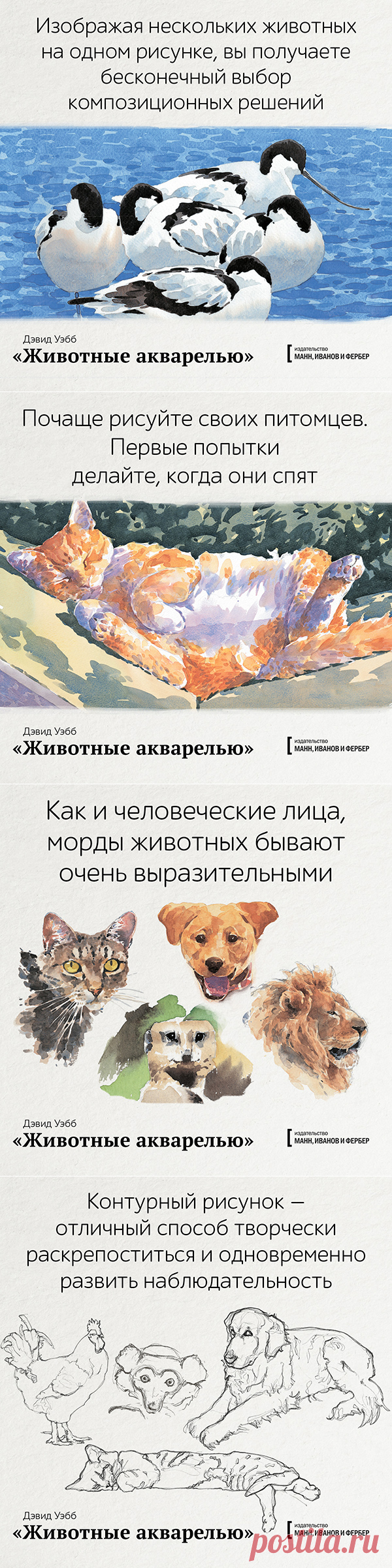 «Животные акварелью» —  пособие по анималистике. Дэвид Уэбб составил 8 пошаговых уроков для всех, кто давно мечтал создать портрет кота. Вы научитесь изображать пушистых и хвостатых, рисовать пятна, полоски, усы, лапы и хвост. И сможете передать характер, который есть у каждого домашнего питомца и дикого зверя. Сделали открытки по книге — мурчащие, рычащие, пятнистые. Забирайте!
