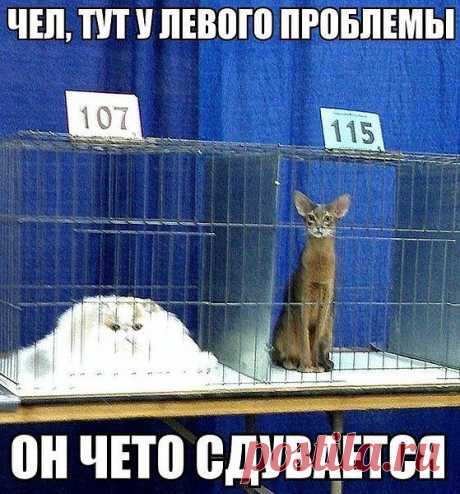 Группа: Фото приколы, демотиваторы