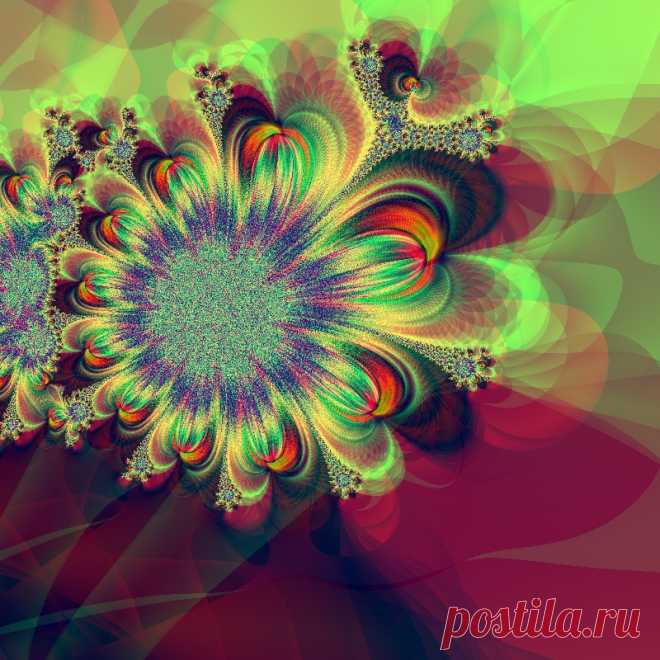 Фрактал, сделан в программе Fractal Explorer