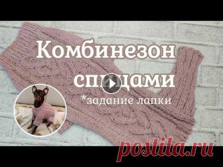 Комбинезон для собаки, вязание спицами Комбинезон для собаки, а точнее еще один вариант задних лапок. Комбинезон связан спицами на базе свитера, узором &quot;Сердце с косами&quot;. Как всег...