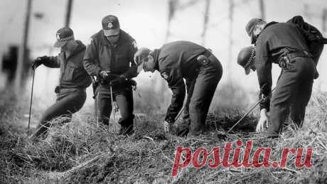 Mr. Cruel was a meticulous, intelligent predator, say police https://www.seoded.com/2012/04/mr-cruel-was-meticulous-intelligent.html
#история #безопасность #австралия
