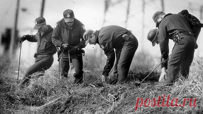Mr. Cruel was a meticulous, intelligent predator, say police http://www.seoded.com/2012/04/mr-cruel-was-meticulous-intelligent.html
#история #безопасность #австралия
