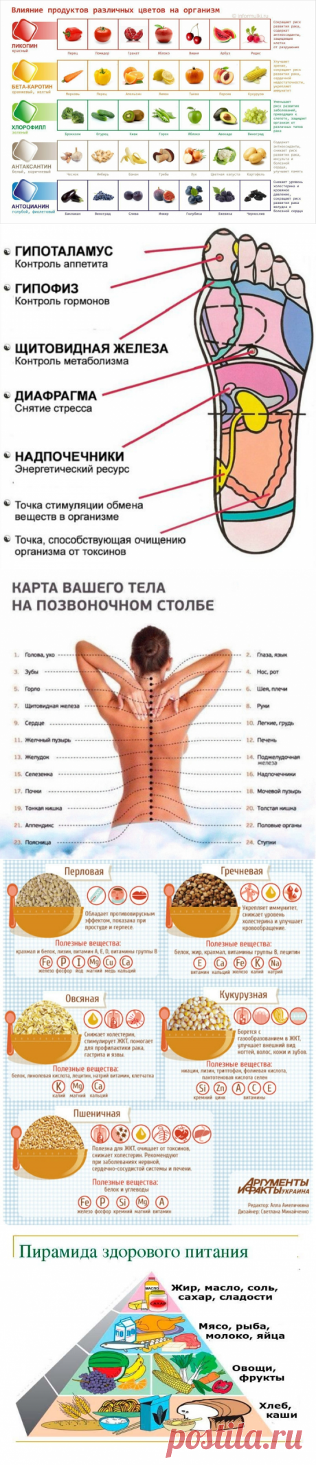 Альбом «Здоровье в картинках»