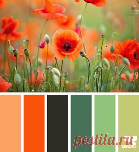 Design Seeds® | find your palette