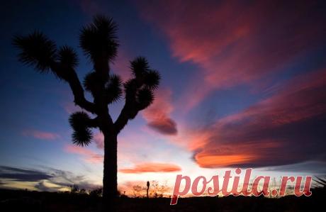 Пейзаж. Природа, ч.17 – Блог. Run, пользователь Марина Николаева | Группы Мой Мир