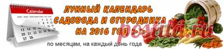 Лунный календарь для комнатных цветов на 2016 год - Простые рецепты - женский сайт