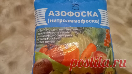 Применяю всего 3 трюка сразу после схода снега и увеличиваю урожай клубники в 2 раза. Работает каждый год | ХОЗЯЮШКА | Дзен