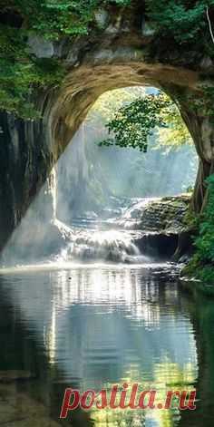 (4) Pinterest