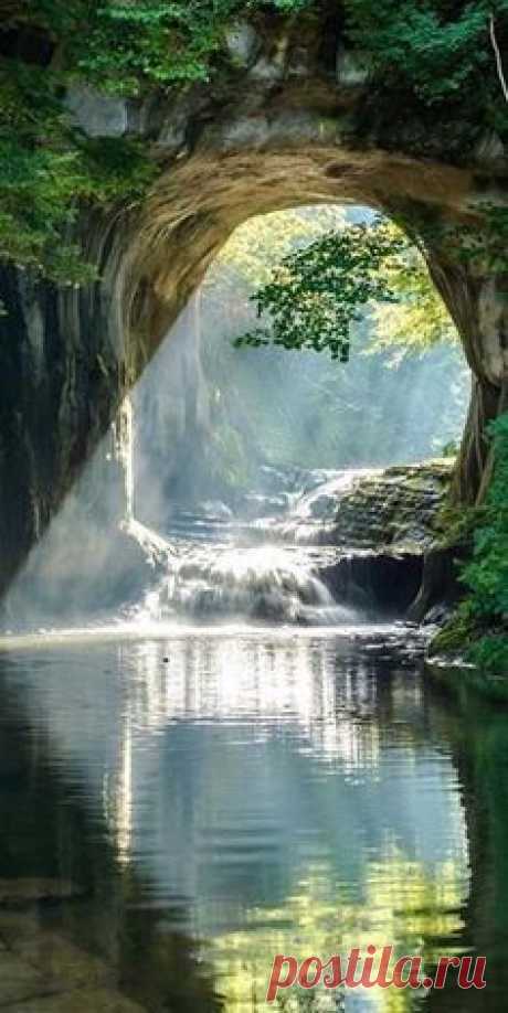 (4) Pinterest