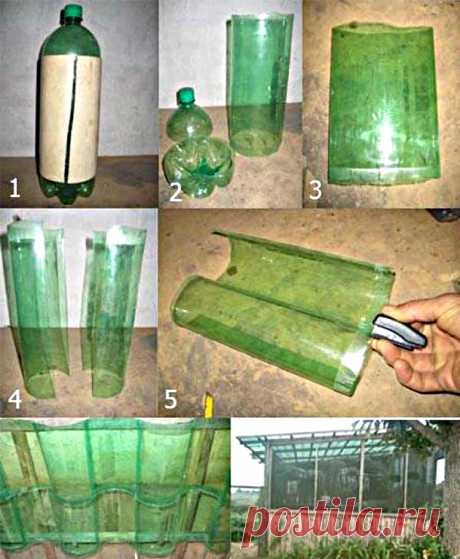 Цілу зиму він збирав пляшки і звозив на дачу: Сусіди сміялися, але навесні ділянку було не впізнати..