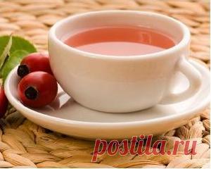 Целебный отвар на основе шиповника | Гавань здоровья