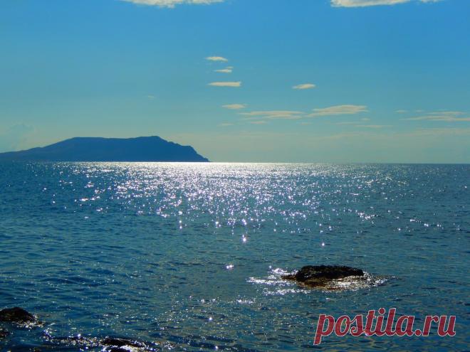 (50) Одноклассники