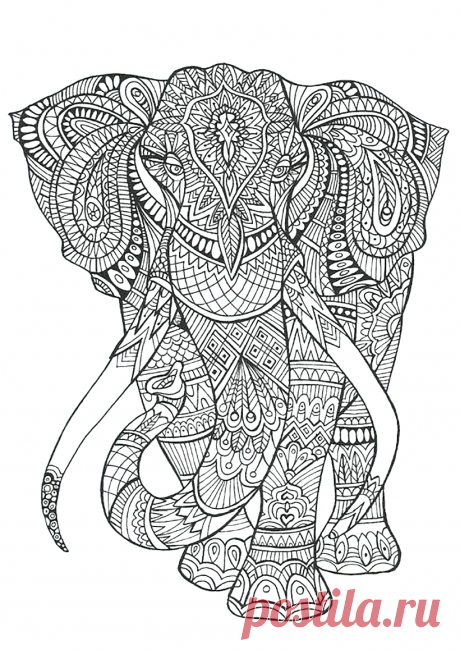 Контурные рисунки. Раскраски. Микс