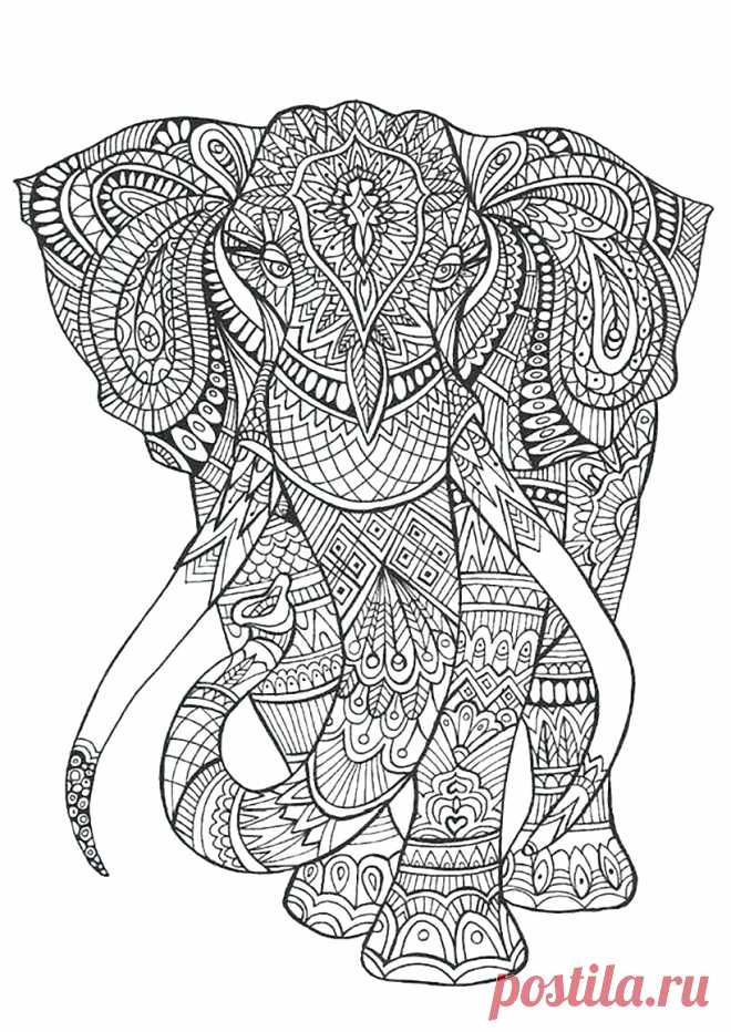 Контурные рисунки. Раскраски. Микс