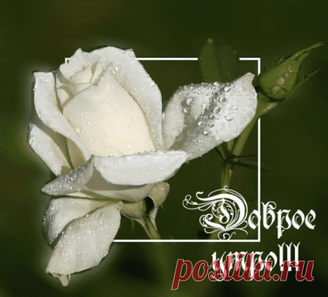 доброе утро