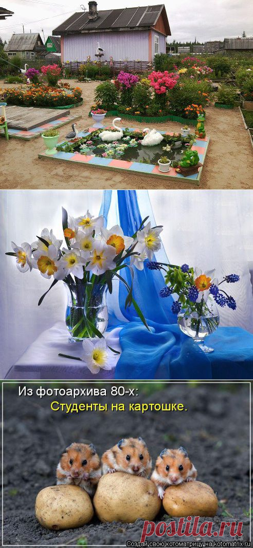 Одноклассники