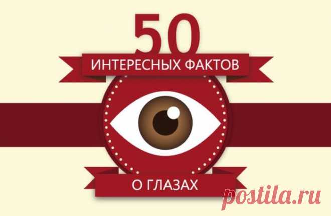 50 интересных фактов о глазах.