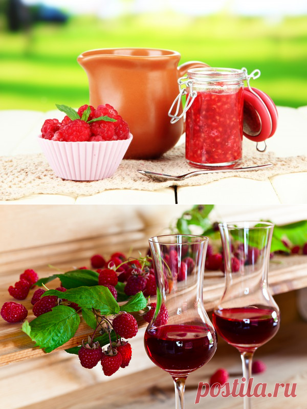 Как приготовить малиновую наливку - Кулинарные советы для любителей готовить вкусно - Хозяйке на заметку - Кулинария - IVONA - bigmir)net - IVONA bigmir)net