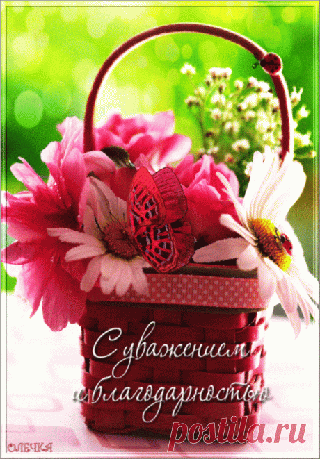 картинки