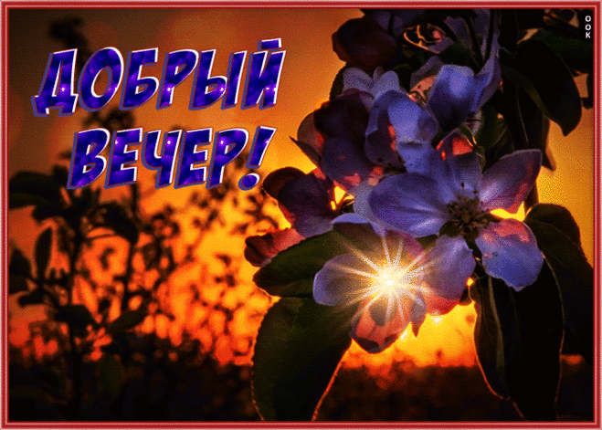 Сияющая картинка добрый вечер с цветами