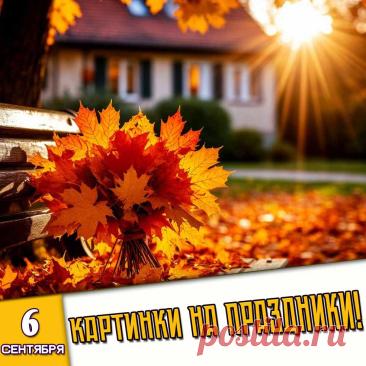 🎉 Праздники которые отмечают в России и мире 6 Сентября 2026 года (06.09.26 воскресенье)

✅ День работников нефтяной и газовой промышленности России (первое воскресенье сентября)
✅ День памяти святителя Петра, митрополита Московского
✅ День Петровской иконы Божией Матери
✅ День астры
✅ Международный день рыжих
✅ Первое воскресенье осени и сентября