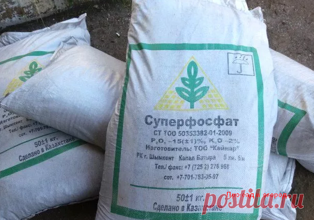 Чем сейчас посыпать огород, чтобы восстановить плодородность земли | Про сад и огород | Яндекс Дзен