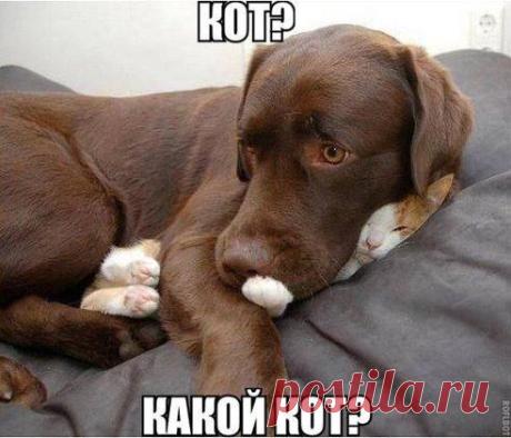 позитив ♡ приколы ♡ фото - https://www.odnoklassniki.ru/group/51938856140992