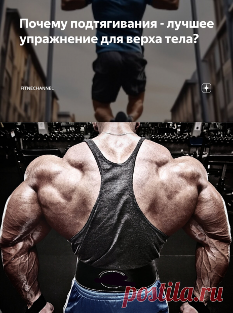 Почему подтягивания - лучшее упражнение для верха тела? | fitnechannel | Дзен