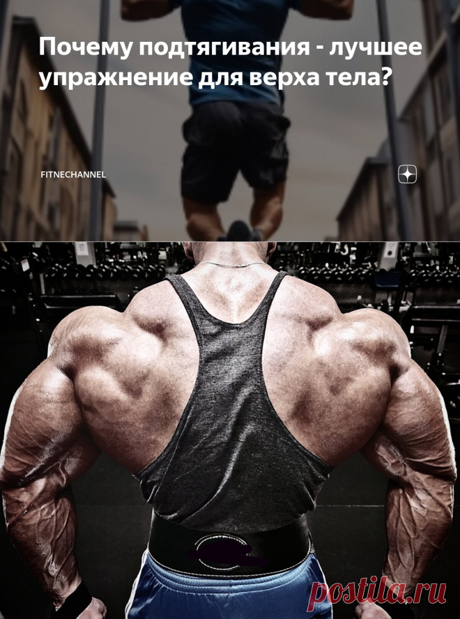 Почему подтягивания - лучшее упражнение для верха тела? | fitnechannel | Дзен