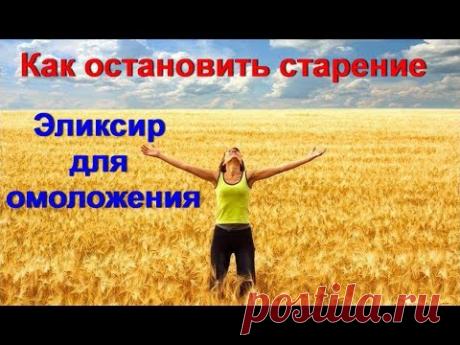 Помолодеть на 20 лет. Эликсир молодости. Как остановить старение. Омоложение организма