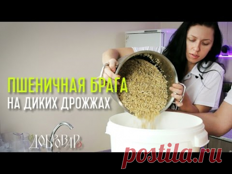 Пшеничная брага на диких дрожжах - подробный рецепт - Добровар