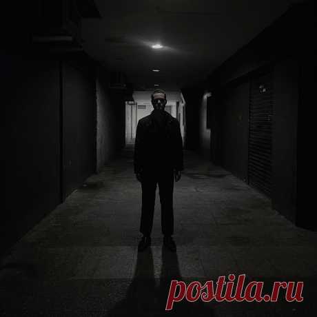 Dancing Plague - Domain (2025) 320kbps / FLAC