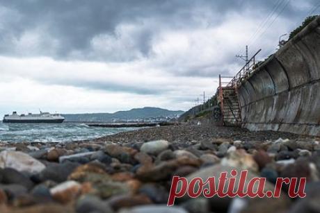 В Туапсе нашли тела двоих унесенных потоком воды при потопе россиян. В Туапсинском районе Кубани нашли тела двоих россиян, ранее числившихся пропавшими без вести. Об этом сообщили в прокуратуре Краснодарского края. Погибшие находились в частном доме, который накануне смыло потоками воды в реку. В результате их тела нашли в море. Всего пропавшими числились четверо россиян.