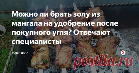 Можно ли брать золу из мангала на удобрение после покупного угля? Отвечают специалисты В современных условиях мало у кого в доме имеется печное отопление,  сейчас многие деревенские жители переходят на более выгодное и экологическое – газ. Поэтому достать золы на удобрение становится достаточно проблематично. Мой папа просит соседку, Юлю, копить золу весь отопительный сезон, она живет в деревне круглый год и у нее как раз печное отопление. А как же быть тем, кому и попросить-то неко