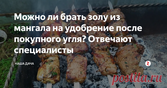 Можно ли брать золу из мангала на удобрение после покупного угля? Отвечают специалисты В современных условиях мало у кого в доме имеется печное отопление,  сейчас многие деревенские жители переходят на более выгодное и экологическое – газ. Поэтому достать золы на удобрение становится достаточно проблематично. Мой папа просит соседку, Юлю, копить золу весь отопительный сезон, она живет в деревне круглый год и у нее как раз печное отопление. А как же быть тем, кому и попросить-то неко