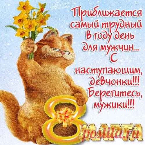 Наступает женский день, 8 марта,
Всем желаем настроения, азарта,
Доброты в сердцах, благополучия,
И капели нежного созвучия.
открытка с наступающим 8 марта прикольная кот с цветами