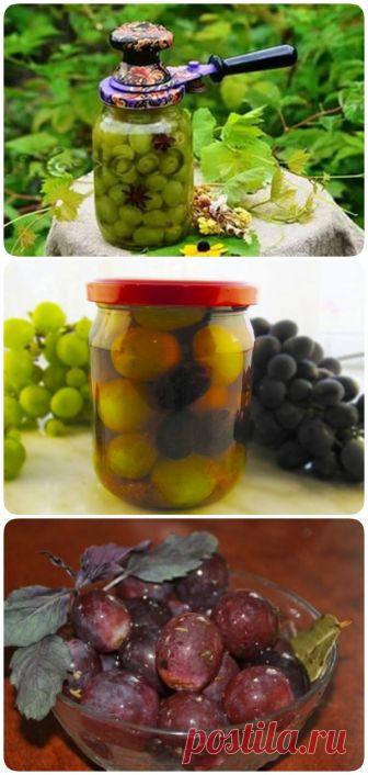 Маринованный виноград на зиму - очень необычно, стоит попробовать! - interesno.win