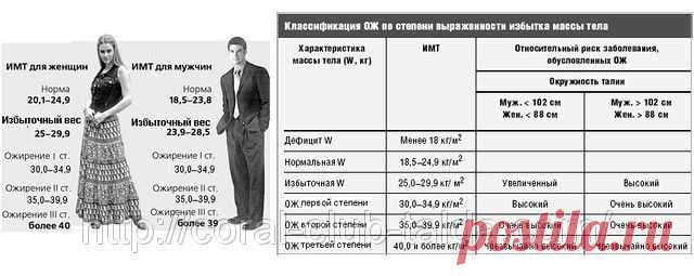 ИДЕАЛЬНЫЙ ИНДЕКС МАССЫ ТЕЛА ДЛЯ ЖЕНЩИН, МУЖЧИН, ИДЕАЛЬНЫЙ ВЕС, ФОРМУЛА ТАБЛИЦА РАСЧЕТ РАСЧИТАТЬ: продажа, цена в Киеве. капсулы, таблетки и порошки для похудения от "Коралловый клуб - Лучшие продукты для лучшего здоровья и успеха!" - 563180