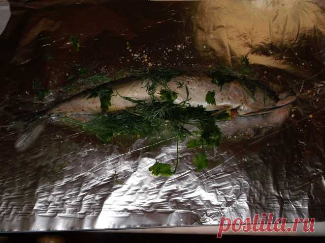 Почистить рыбу. Натереть брюшко и снаружи перцем и солью. Набить брюшко мелко нарезанным лимоном, укропом,петрушкой.