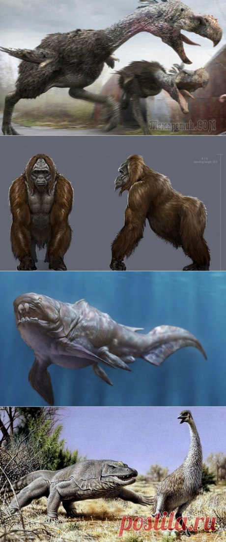 Реальные Годзиллы: вымершие виды, поражающие воображение