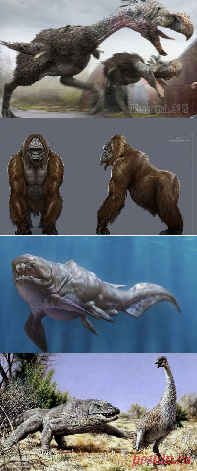 Реальные Годзиллы: вымершие виды, поражающие воображение