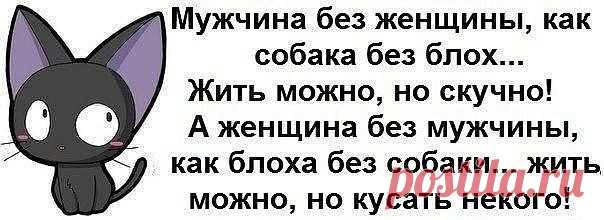 1 непрочитанный чат