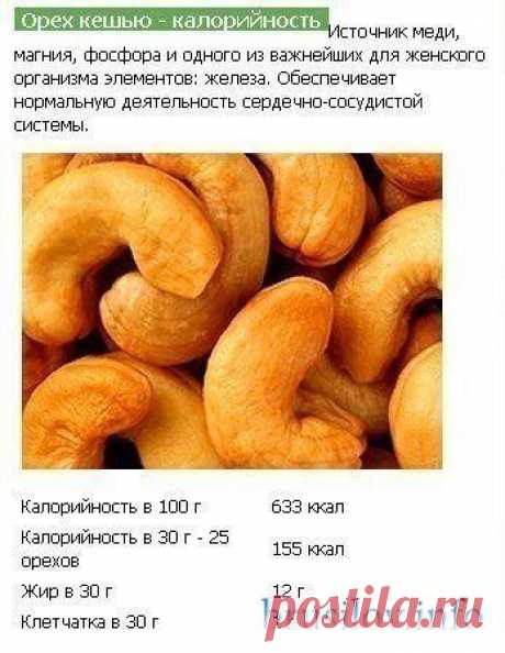 1atE8pFzPgQ.jpg - Брусилів