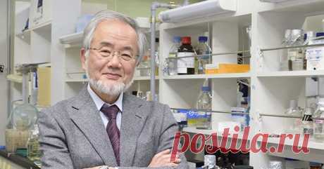 Феномен «окна питания» и главные принципы здорового похудения - Журнал Советов Сколько раз вам говорили, что для похудения нужно отказаться от любимых вкусняшек и 5 раз в день есть пресную куриную грудку с листьями салата и гречкой? Если одна мысль о качалке 4 раза в неделю и «безвкусной жизни» ставит крест даже на самом желании похудеть, вам непременно нужно прочесть эту статью. На помощь женщинам всей планеты […]