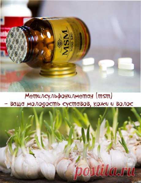 Архивы ОСНОВЫ ЗДОРОВЬЯ - Блог о красоте и здоровье
