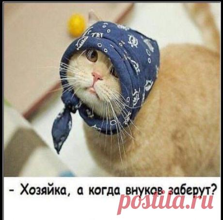 Интересные новости