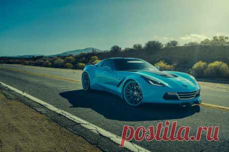 (88) Елена Петрова - Chevrolet Corvette C7