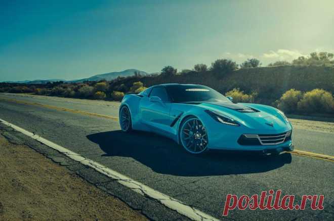 (88) Елена Петрова - Chevrolet Corvette C7